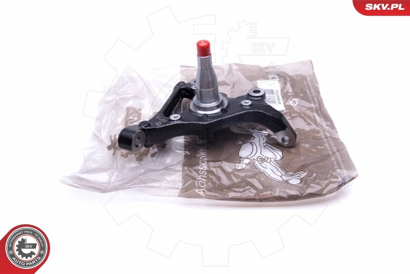 Steering Knuckle, wheel suspension